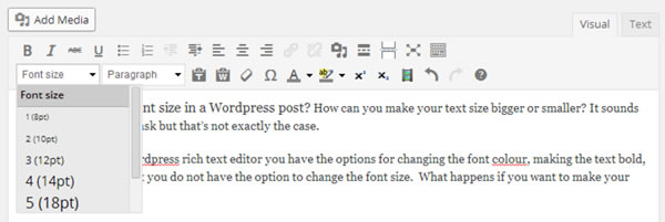 change font size wordpress