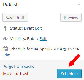 schedule a wordpress post - step 3